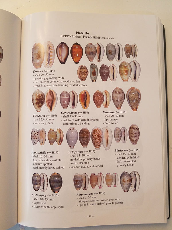 全球宝螺科指南 (第一册 生物学与分类)